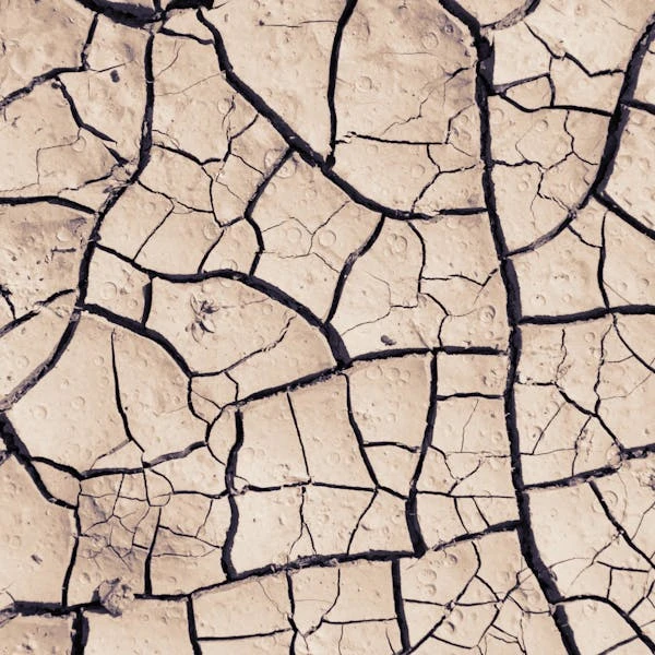 Dry and visibly undernourished skin